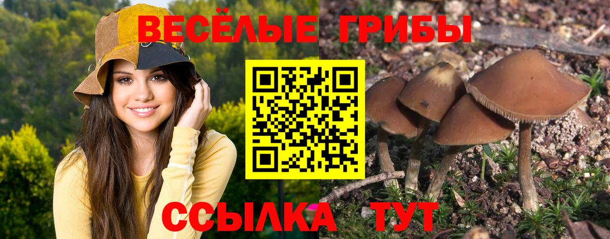 Галлюциногенные грибы мухоморы Электрогорск